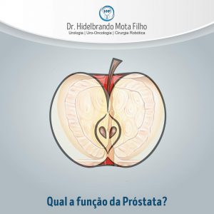 Qual a função da Próstata